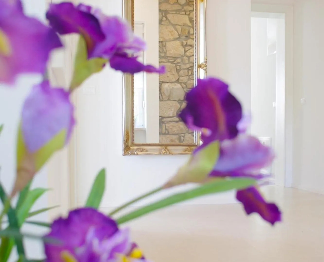Guest House Villa Dagmar Crikvenica 5*,
